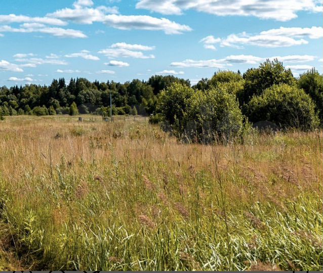 Участок 24 сот. (СНТ, ДНП)