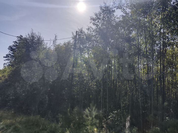 Участок 8 сот. (СНТ, ДНП)