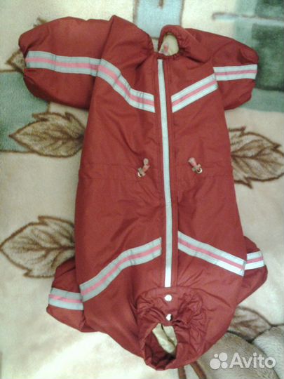 Комбинезон для вашего верного друга