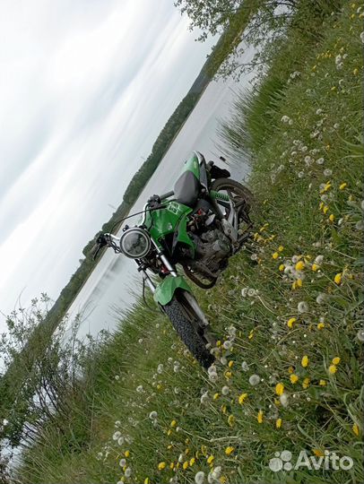 Продам Irbis Gs200