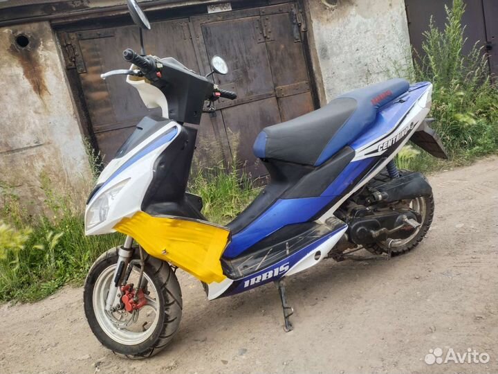 Ирбис
