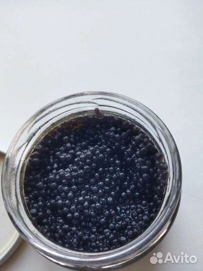 Красная икра 2023