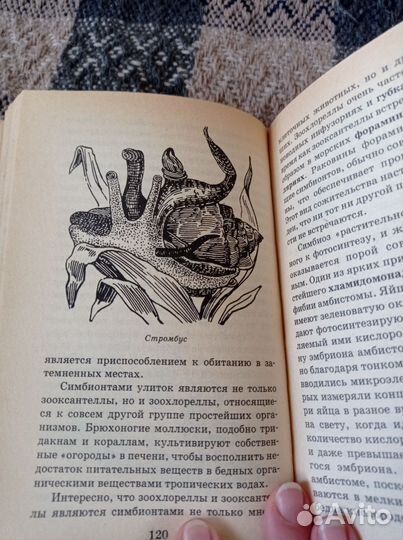 Книга для детей