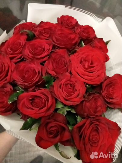 51 роза 101 роза Букеты напрямую со склада