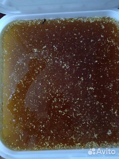 Мед новый урожай и продукты пчеловодства