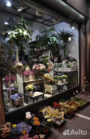 Готовый бизнес. Цветочный магазин