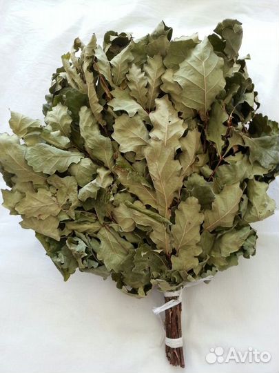 Дубовые веники для бани