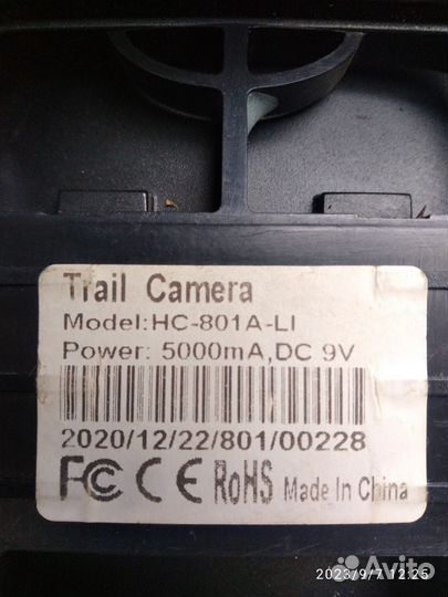 Фотоловушка