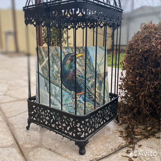 Картина Скворец. Птицы