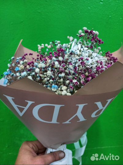 Хризантемы