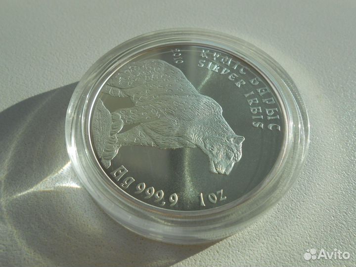 1 тенге 2010 год Снежный барс - Ирбис Казахстан