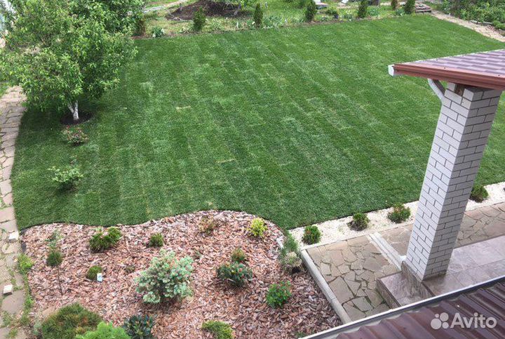 Рулонный газон