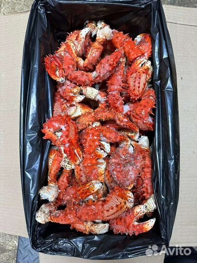 Икра красная, рыба и морепродукты