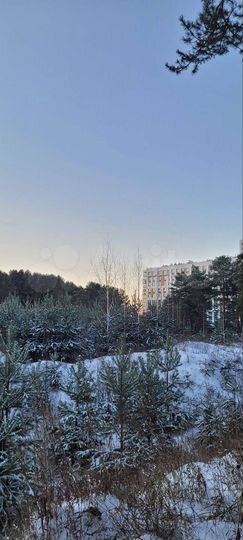 3-к. квартира, 73,5 м², 10/10 эт.