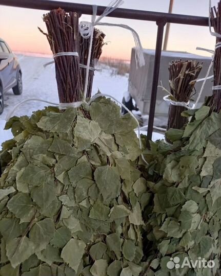 Веники для бани березовые