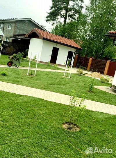 Рулонный газон 