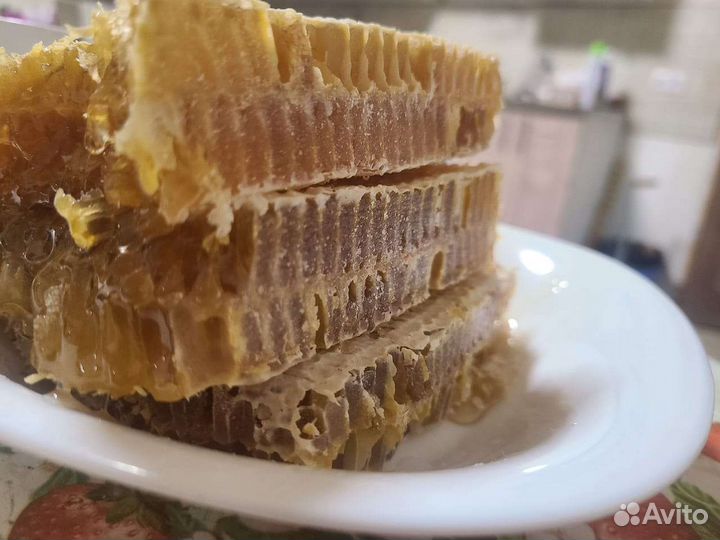 Мед. Продукты пчеловодства