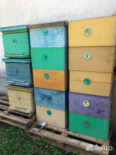 Улья для пчел