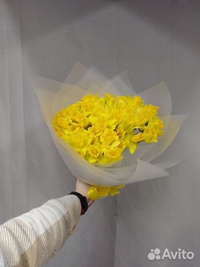 Букет из 51 желтого нарцисса