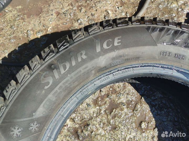 Matador MP 50 Sibir Ice 175/65 R14