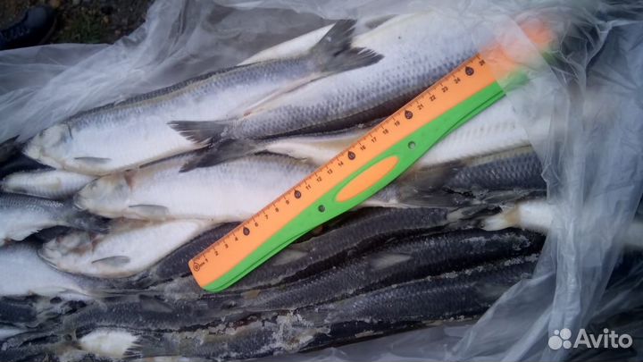 Продукты питания