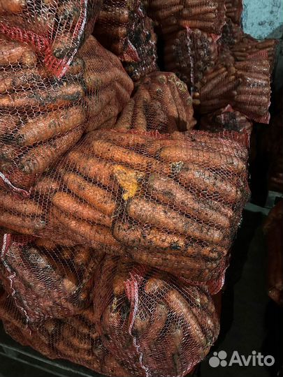 Морковь корейка