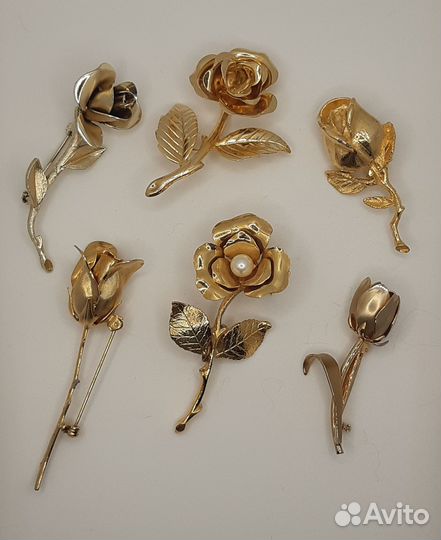 Розы броши, США