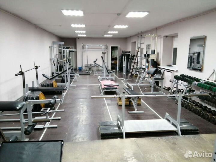 Тренер. Бокс, смешанные единоборства