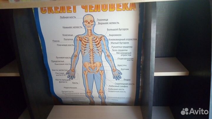 Компьютерный стол