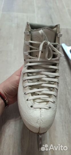 Продам фигурные коньки Edea Chorus