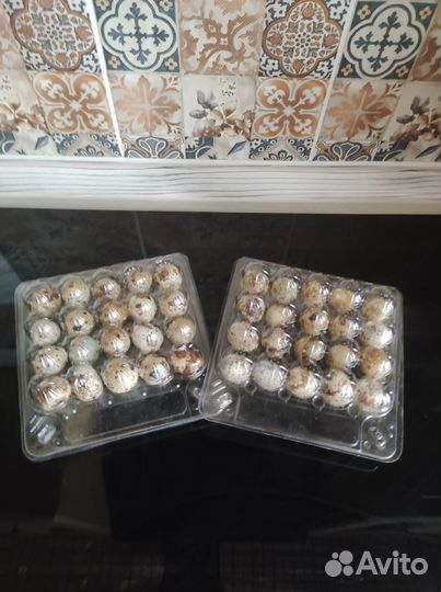 Продаю домашние перепелиные,куриные яйца