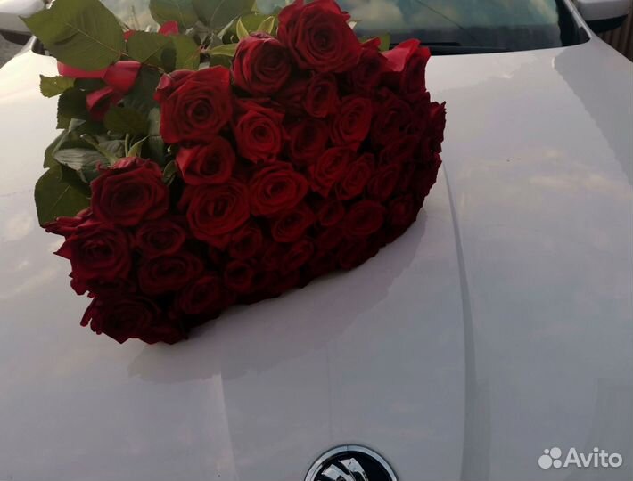 Розы, букет цветов