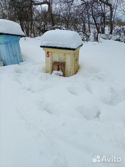 Продам домики с пчёлами