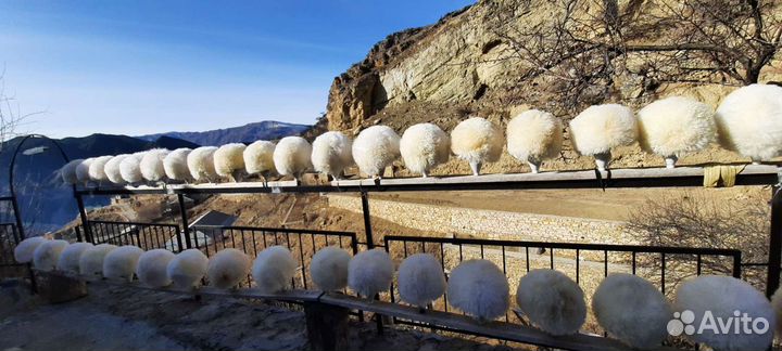 Папахи оптом