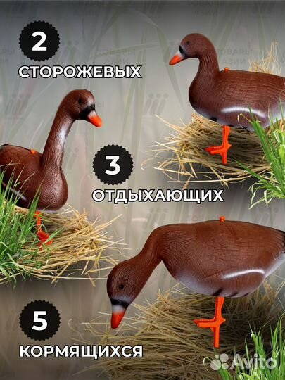 Чучело уток гусей для охоты