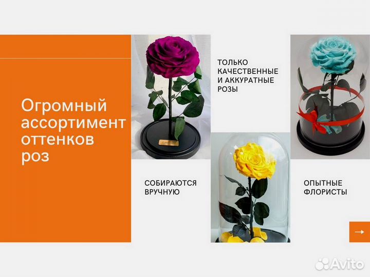 Розы в колбе разные