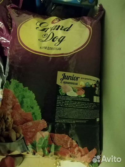 Карми, Гранд дог опт