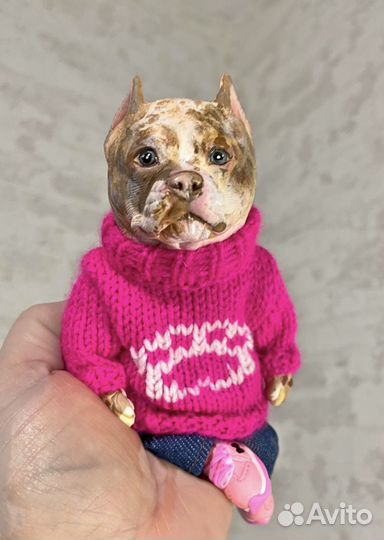 Американский булли