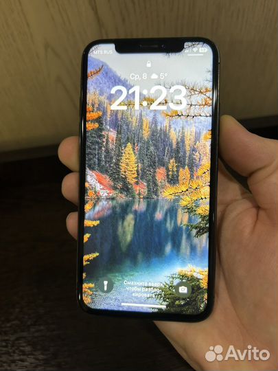 iPhone X, 256 ГБ