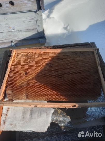 Рамки с сушью