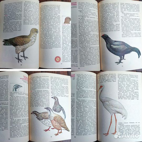 Советские книги птицы