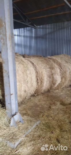 Продам сено в рулонах