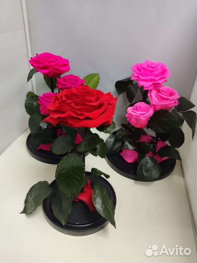 Подарок маме/ Роза в колбе