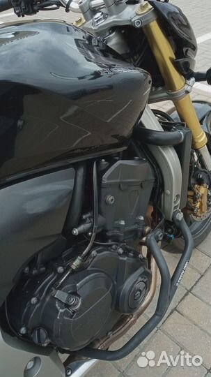 Hornet