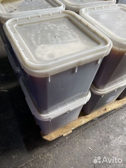 Натуральный мёд майский. 2023 г. Опт