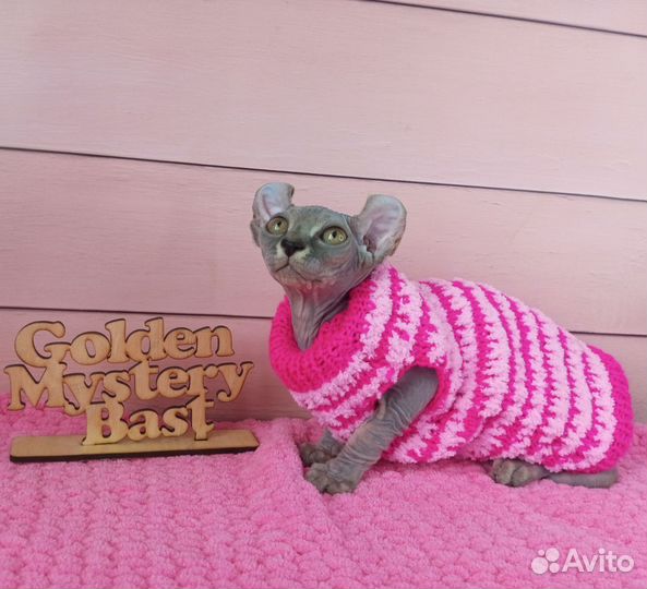 Сфинкс Эльф