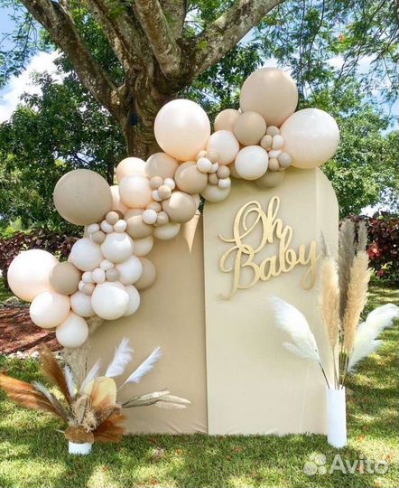 Воздушные Шары на гендер пати