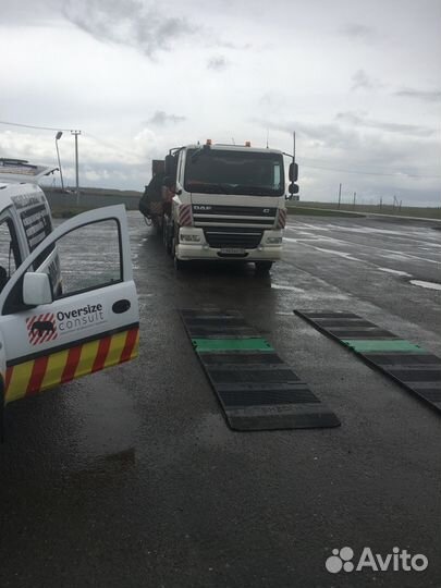 Выездной Весовой контроль, нагрузка на ось