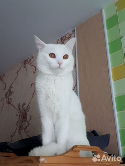 Я потерялся
