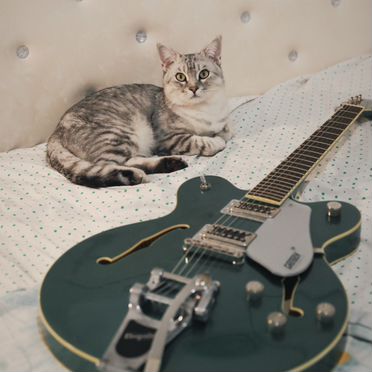Gretsch g5622t bigsby электронная гитара